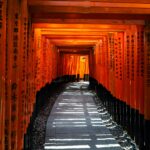 FushimiInari B David Emrich EJvGBYjrwEA Unsplash FushimiInari B David Emrich EJvGBYjrwEA Unsplash